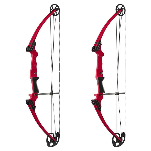 Compound Bow 2 pack adjustable 30"
