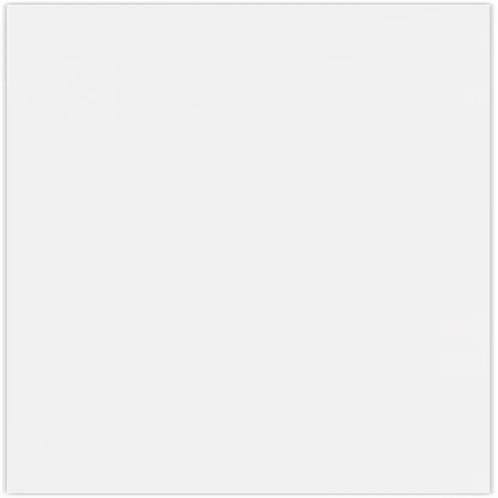 Paper 80lb white 13"