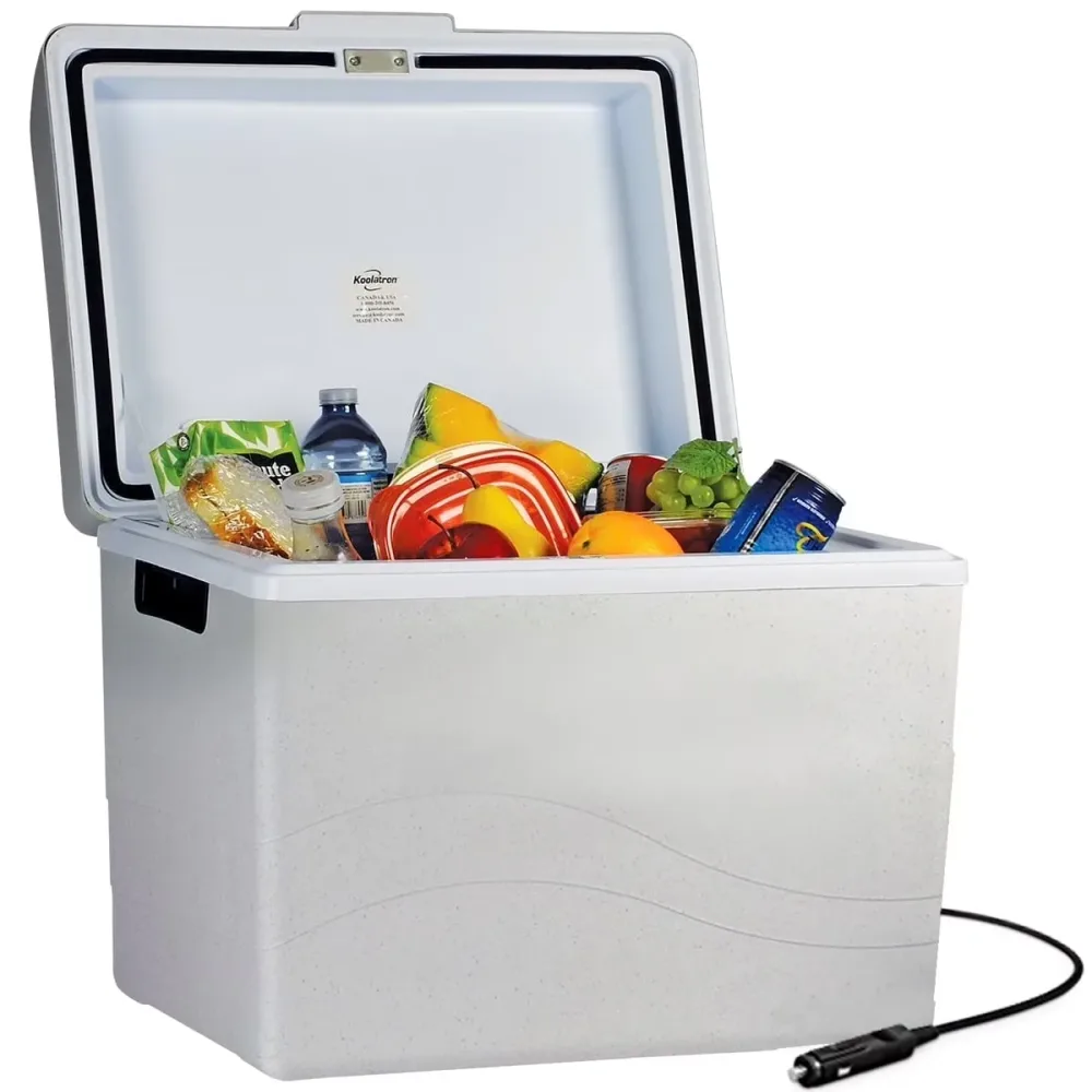 Electric Cooler 12v gray 42 liter