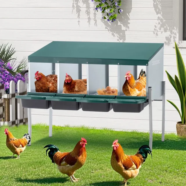 Chicken Coop green red