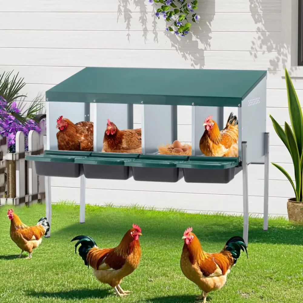 Chicken Coop green red