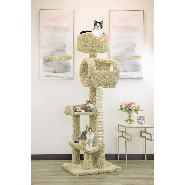 Furniture & Enrichment gray beige 69.00 inches