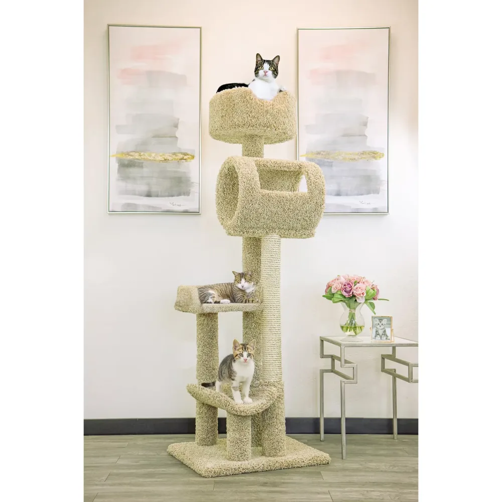 Furniture & Enrichment gray beige 69.00 inches