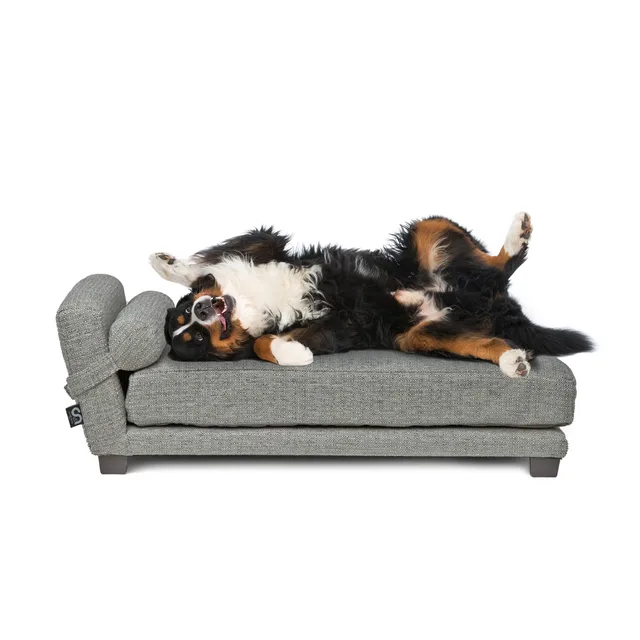 Dog Bed silver