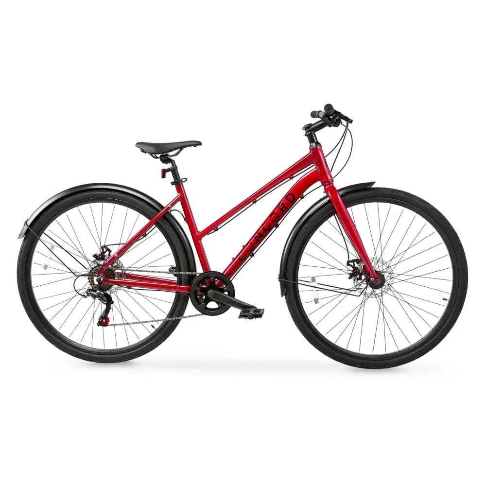 Road Bike 5 ft 2 in 10 in