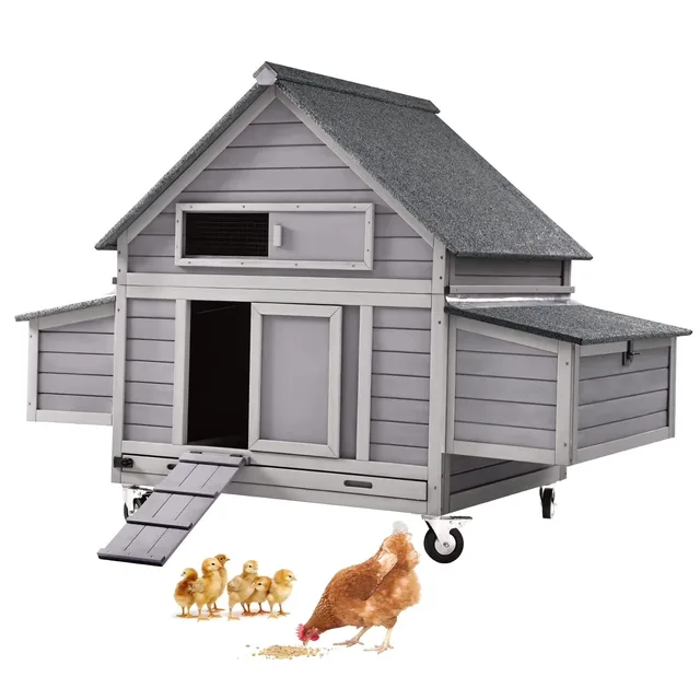 Chicken Coop