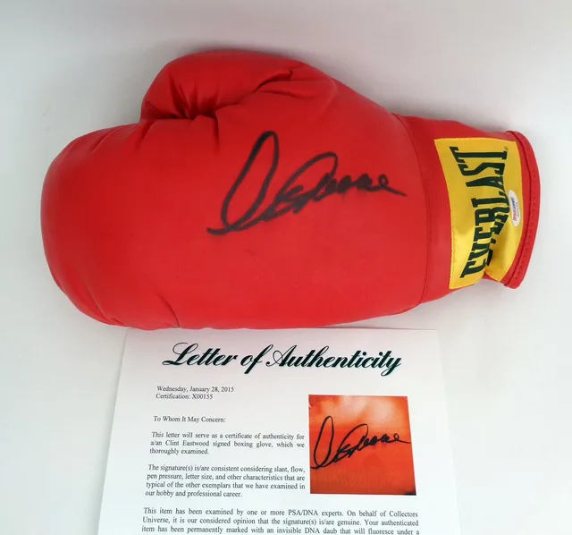 Boxing Glove