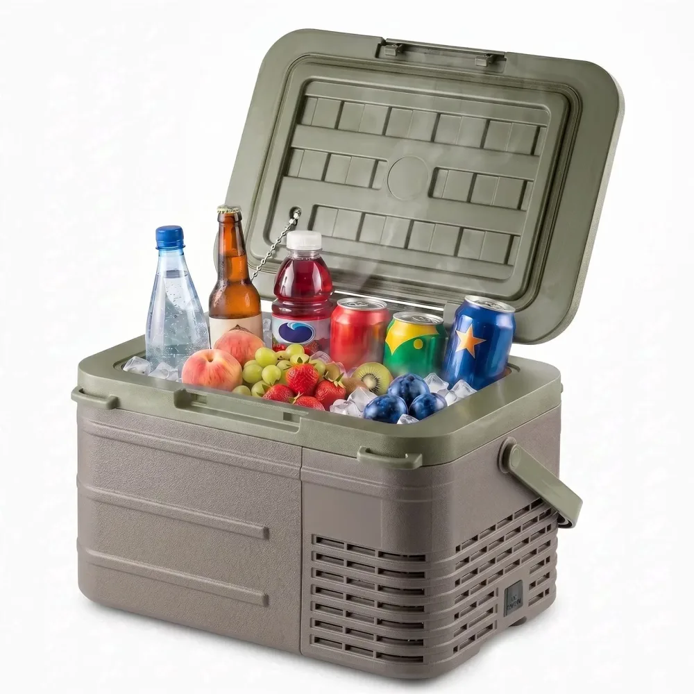 Electric Cooler 12 v 12v 24v