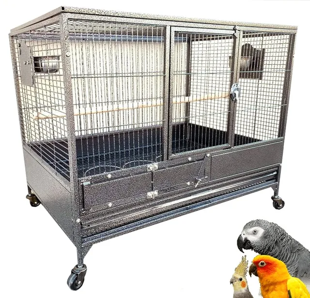 Breeder Bird 36" 2" grey