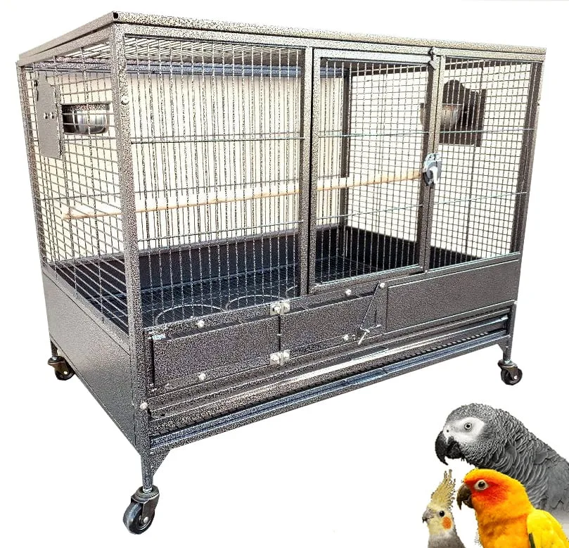 Breeder Bird 36" 2" grey