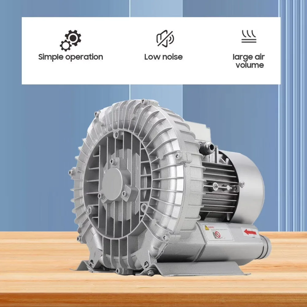 Pump 110v silver