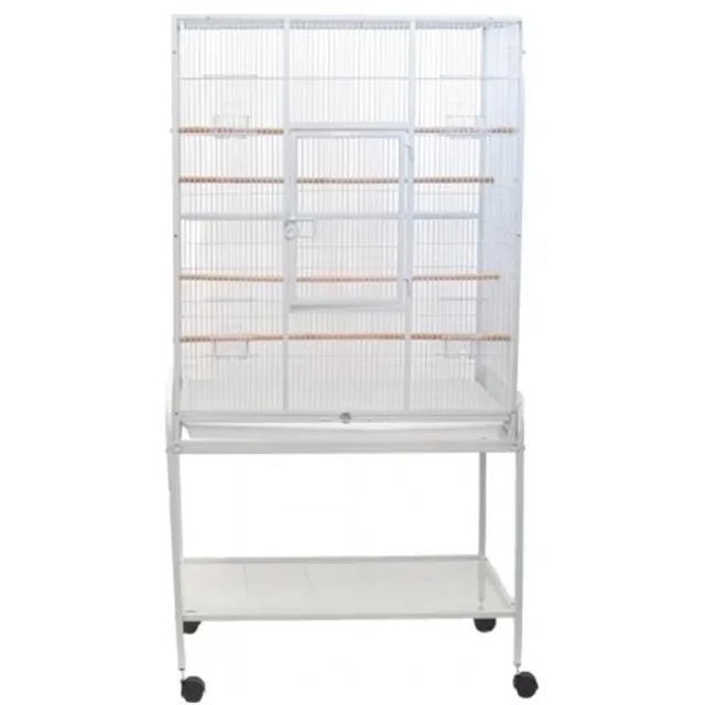 Bird Care 5 in white