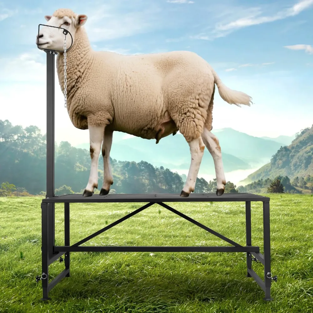 Grooming Table 500 lbs adjustable 47"