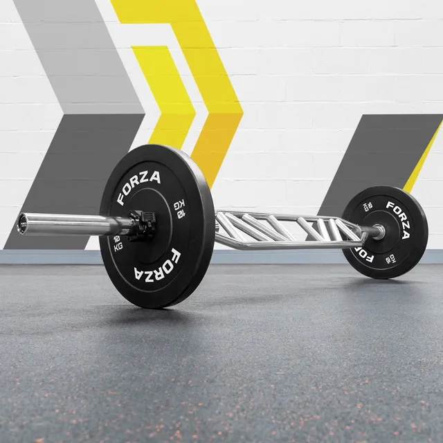 Strength Training 55lb 315 kg 28 mm