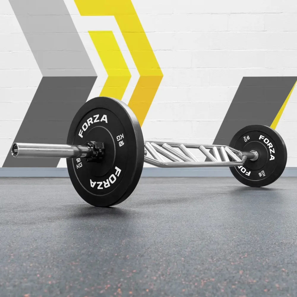 Strength Training 55lb 315 kg 28 mm