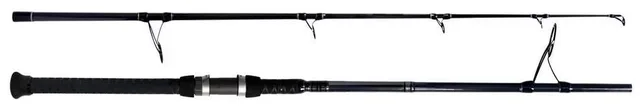 Spinning Rod 10' 3-6oz 40lb