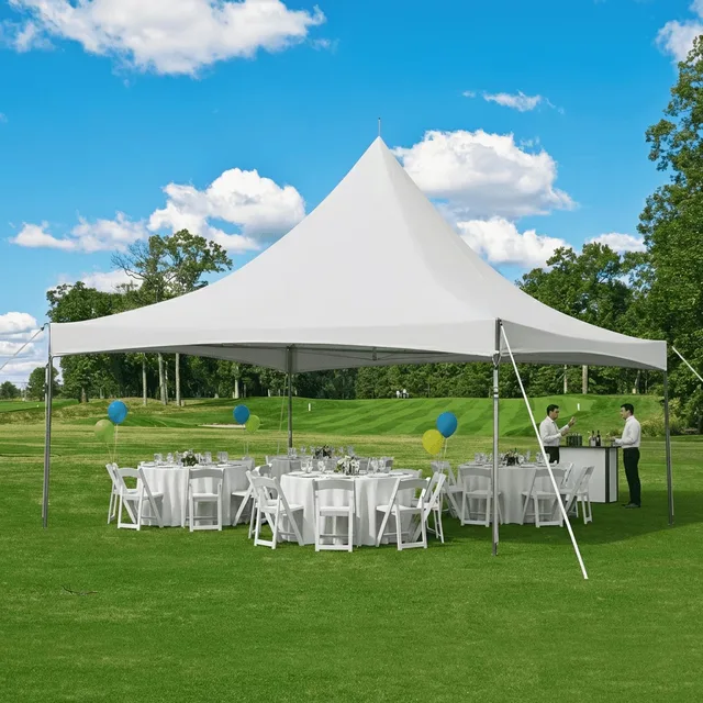 Party Tent 20' 30' 100 person