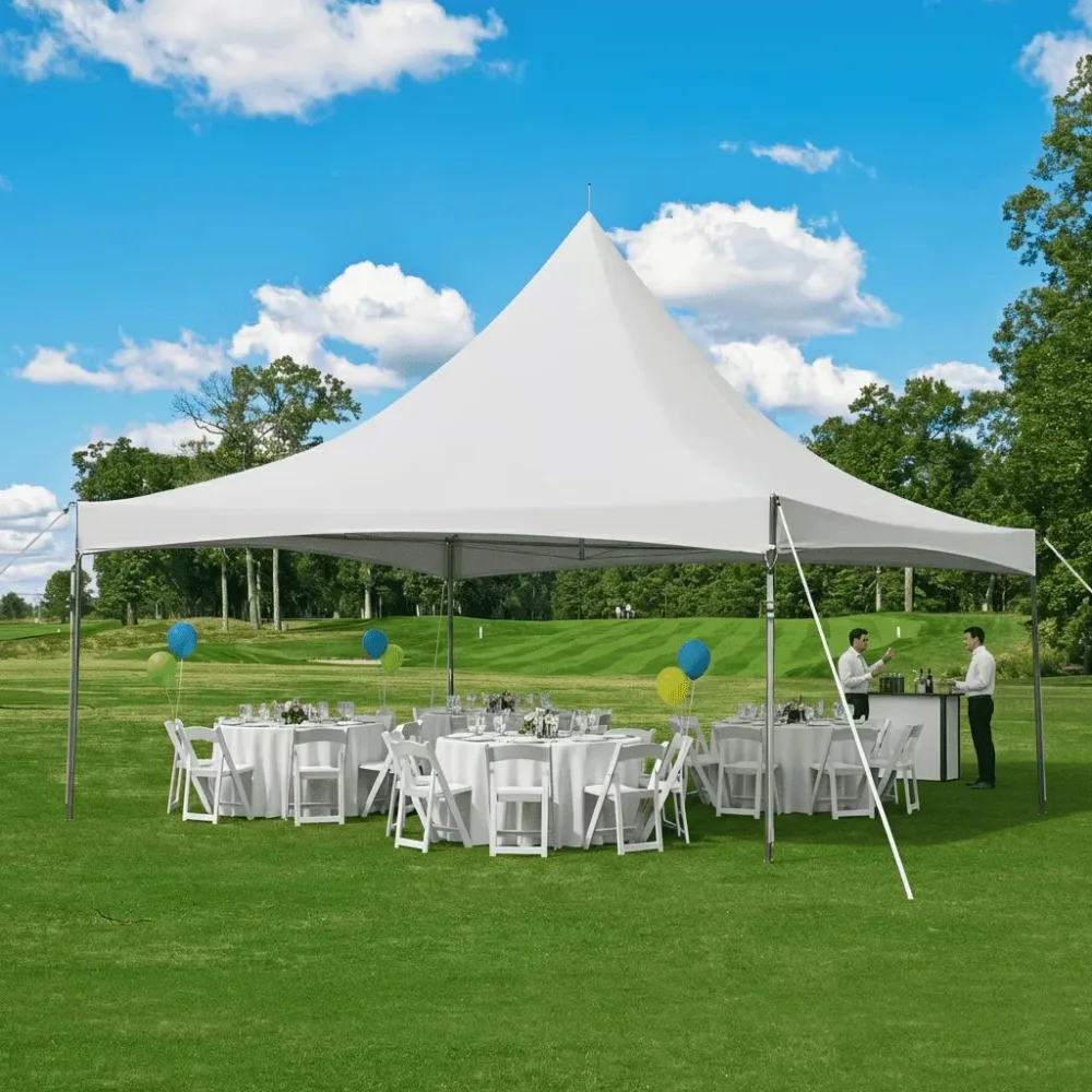 Party Tent 20' 30' 100 person