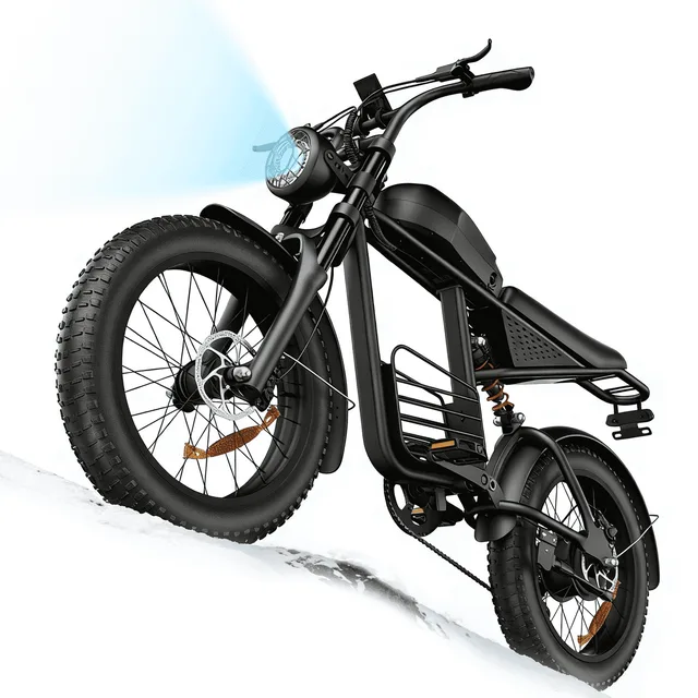 Electric Bike 750w 48v 1000w