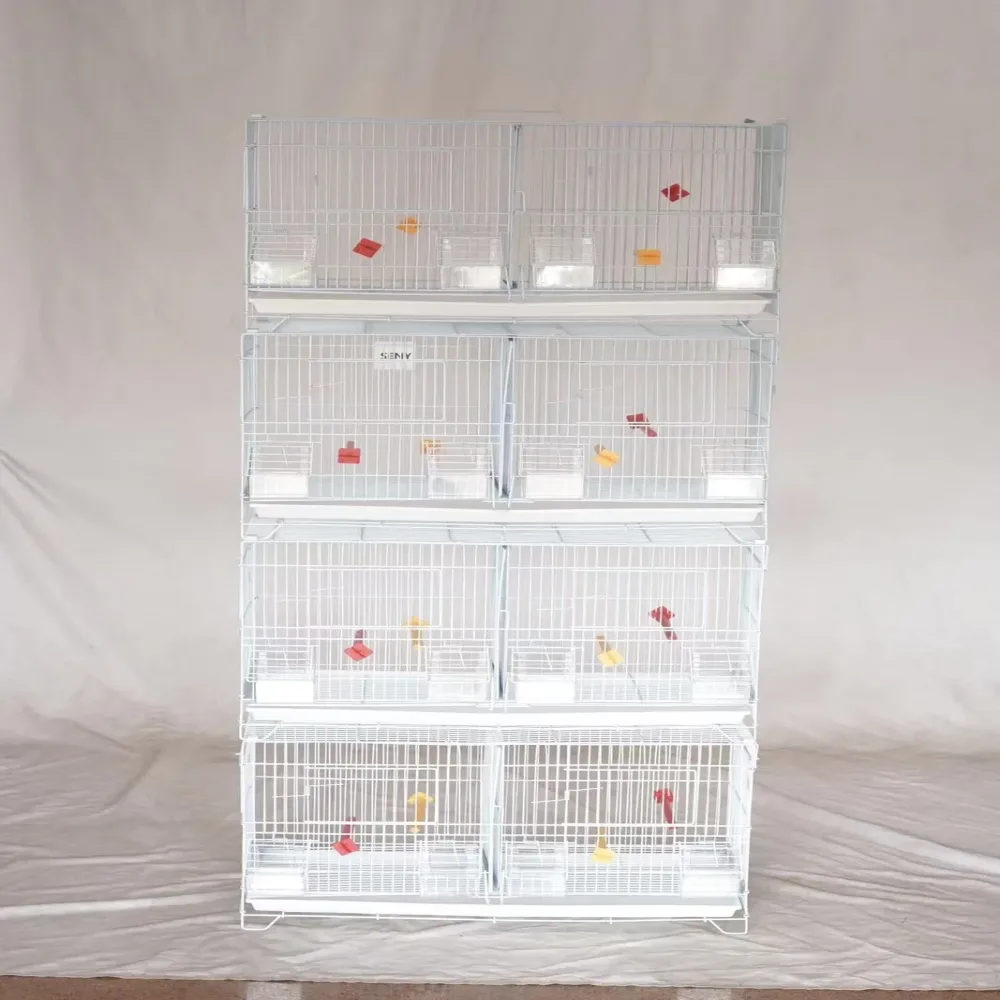 Bird Cage white 23 in 10 in