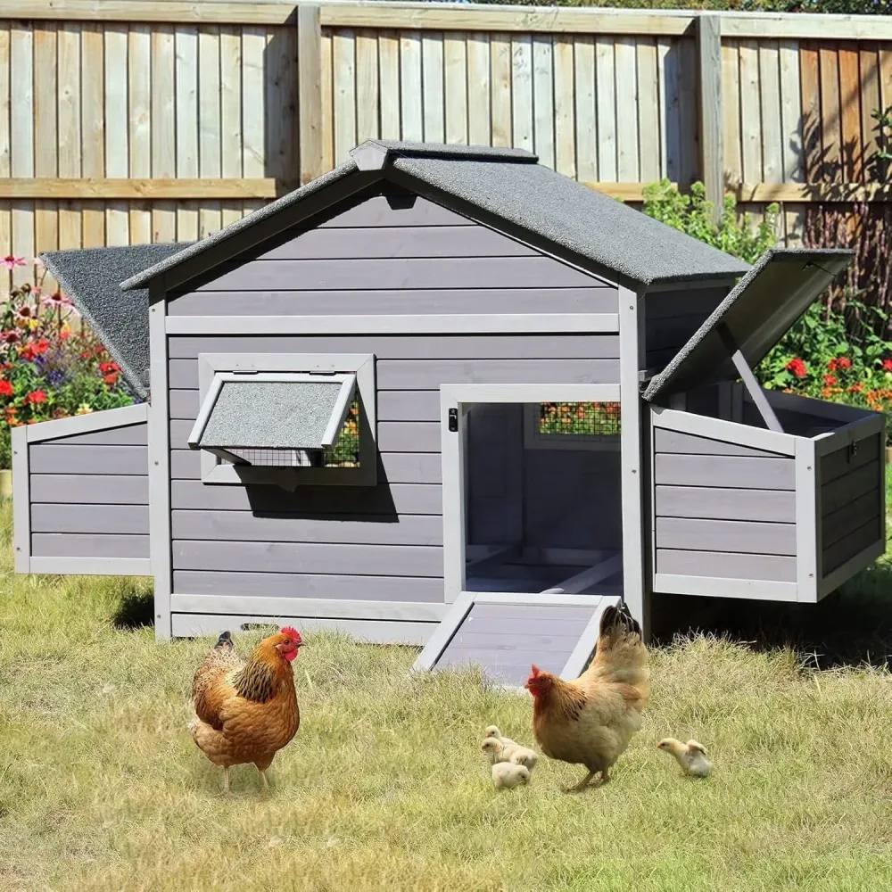 Chicken Coop 76.7" 67.2" 36.8"