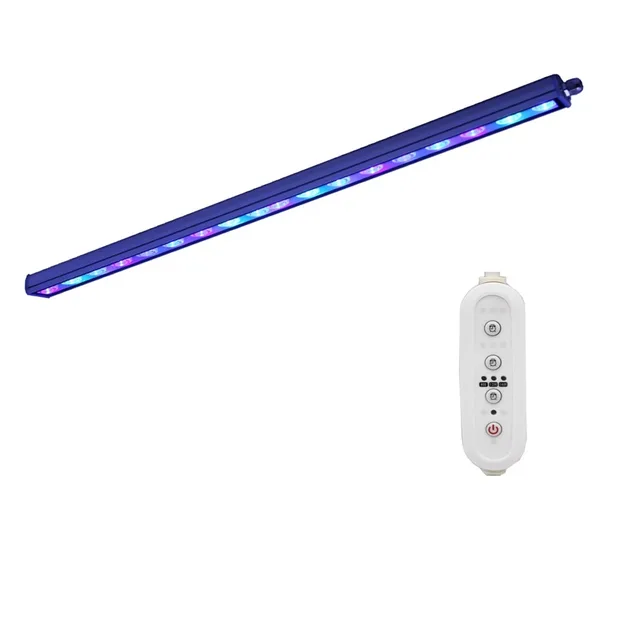 Fish Tank 81w 55cm led