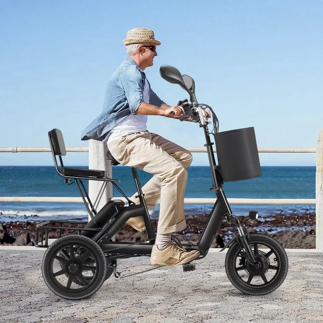 Electric Tricycle 350w 48v folding