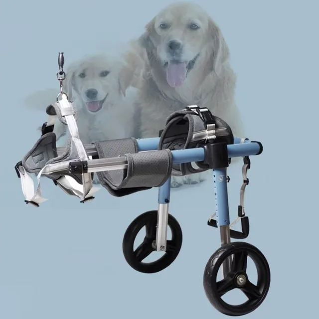 Health & Grooming blue adjustable