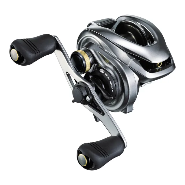 Profile Reels