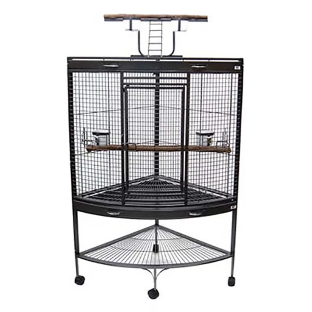 Iron Bird silver 4 in 37"
