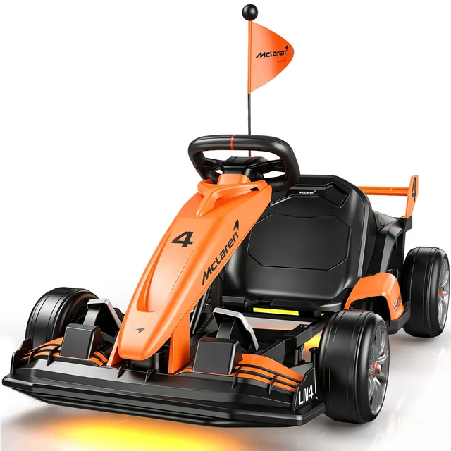 Electric 36v 500w 24v