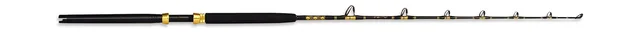 Conventional Rod 6ft 12-20 lb
