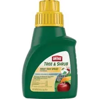 Insect Disease