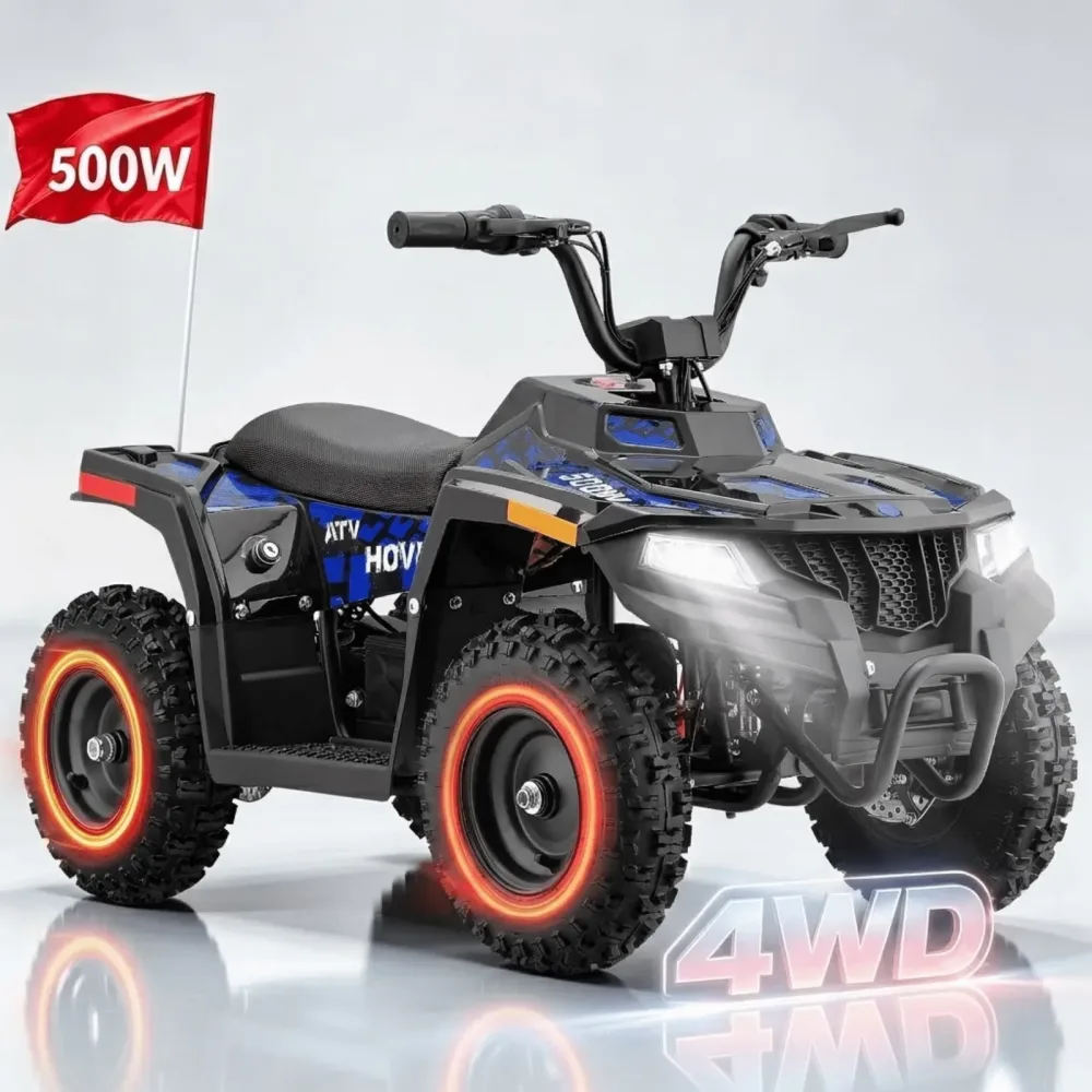 Disc Brake 36v 500w 143lbs