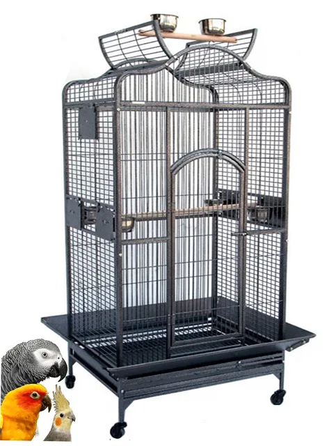 Parrot Bird 28" grey green
