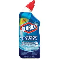Cleaning Clorox 24 oz