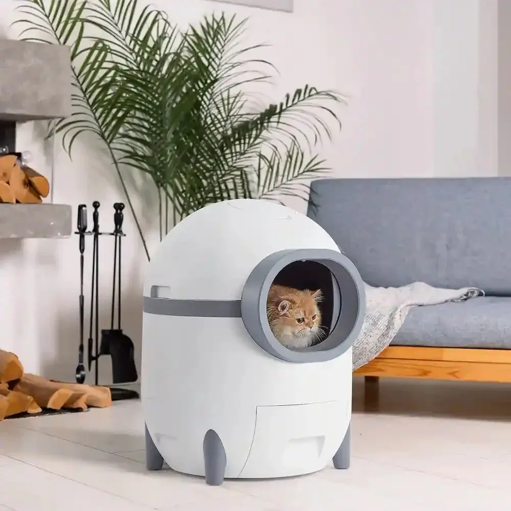 Cat Litter