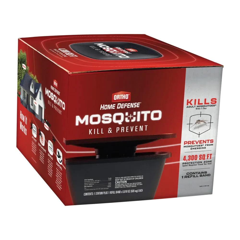Mosquito