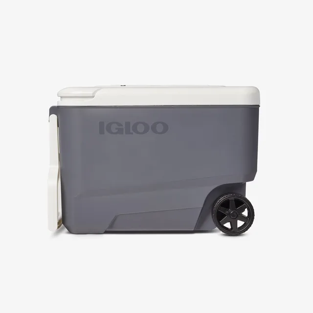 Electric Cooler portable 12v 110v