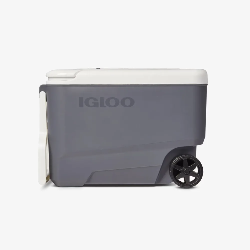 Electric Cooler portable 12v 110v