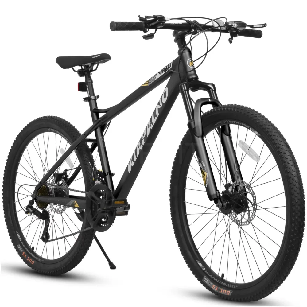 Mountain Bike black gray