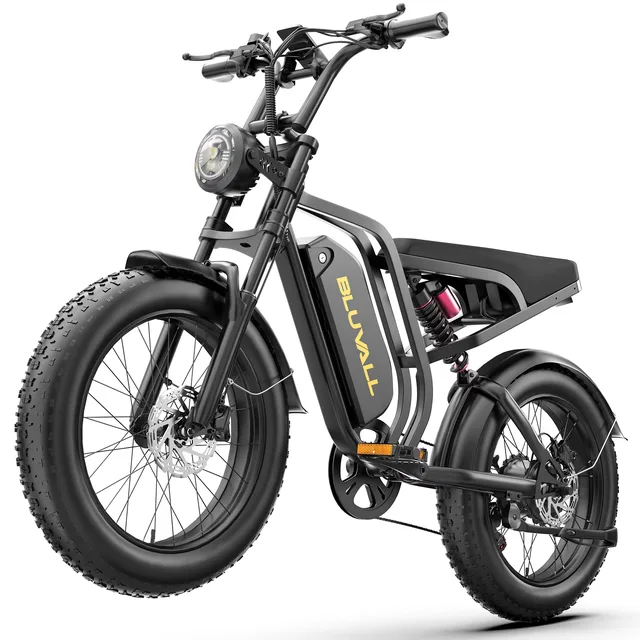 Electric Bike 1000w 48v 20"