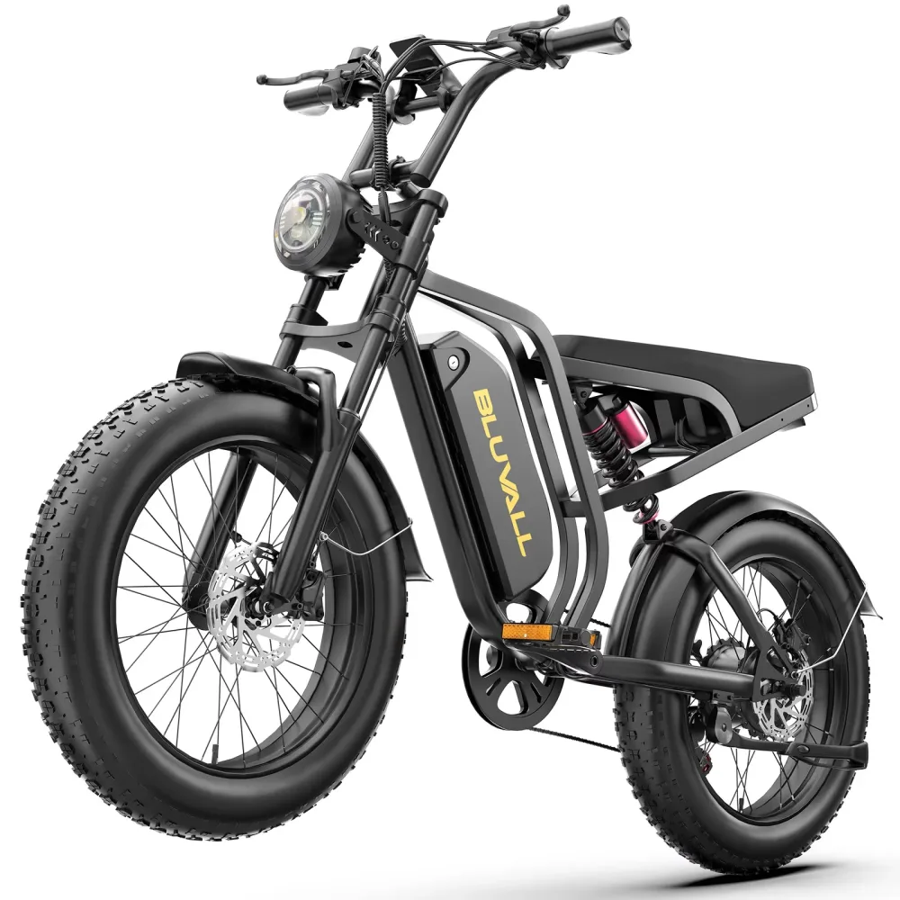 Electric Bike 1000w 48v 20"