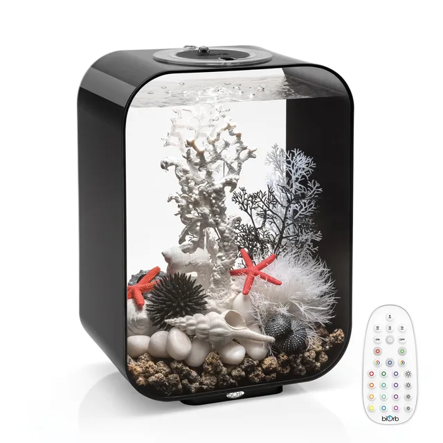 Light 4 gallon black 15.5 in