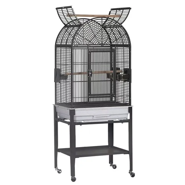 Bird Care 17 in black 22"