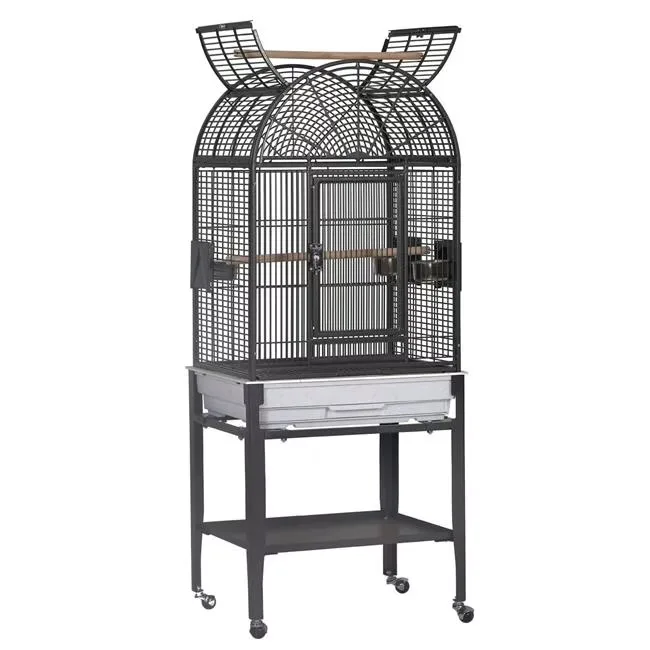 Bird Care 17 in black 22"