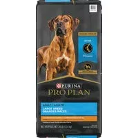 Dog Food
