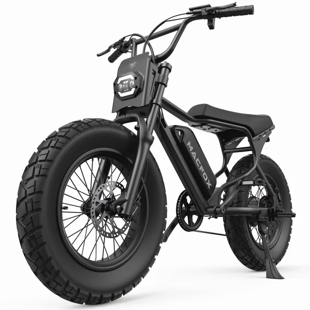 Electric Bike 750w 48v 5'