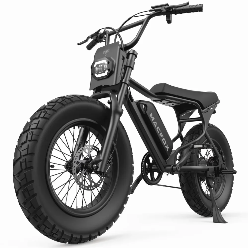 Electric Bike 750w 48v 5'