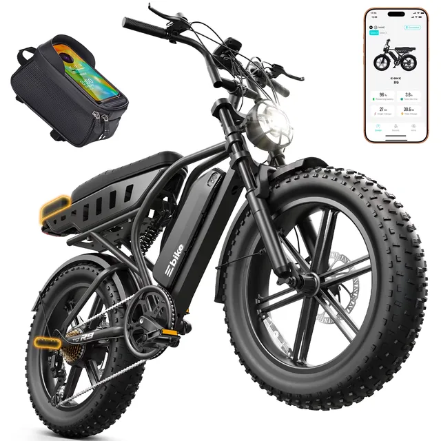 Electric Bike 750w 48v black